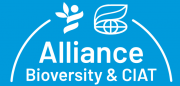 Alliance Bioversity & CIAT