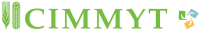 CIMMYT