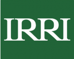 IRRI